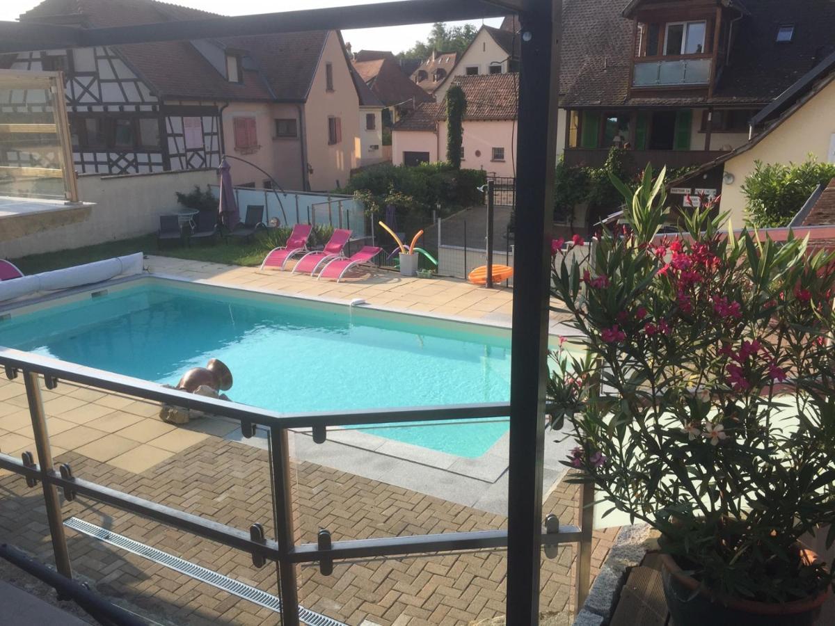 Les Gites 2-4 Pers Remy Herold Katzenthal Buitenkant foto