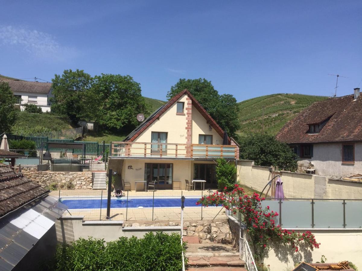 Les Gites 2-4 Pers Remy Herold Katzenthal Buitenkant foto