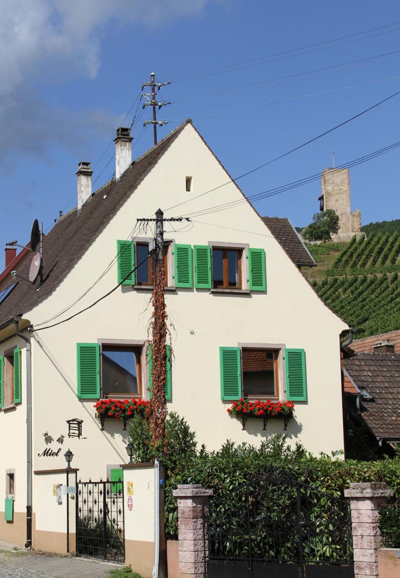 Les Gites 2-4 Pers Remy Herold Katzenthal Buitenkant foto