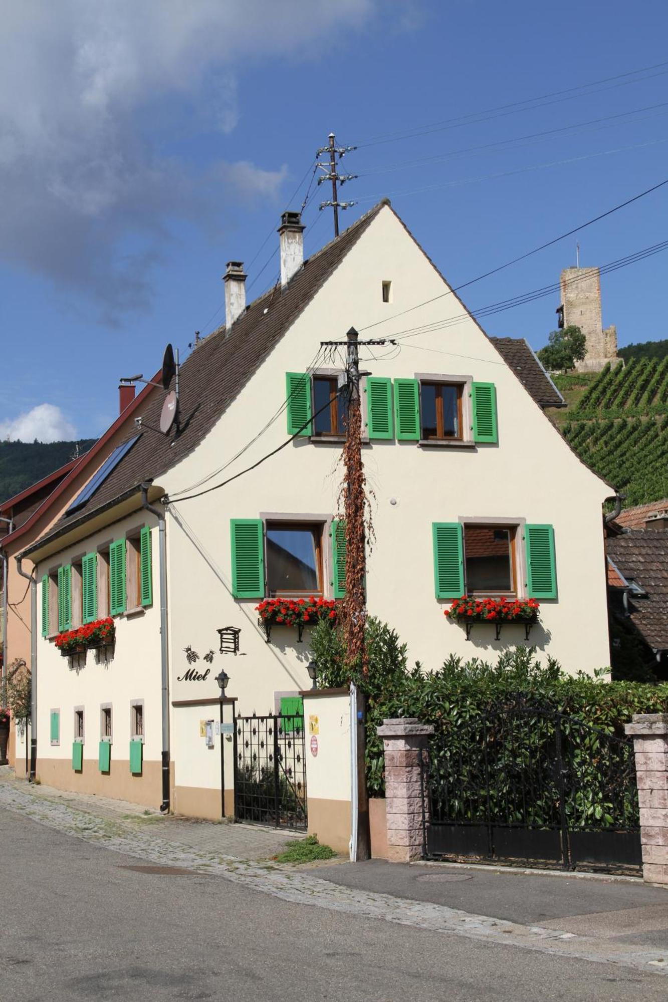 Les Gites 2-4 Pers Remy Herold Katzenthal Buitenkant foto